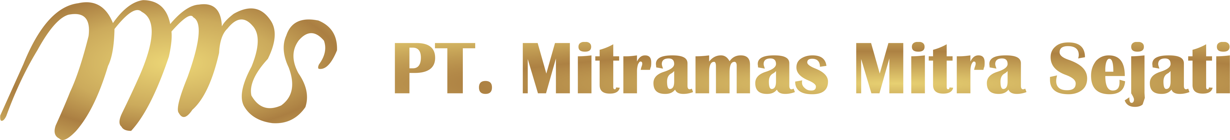 PT Mitramas Mitra Sejati